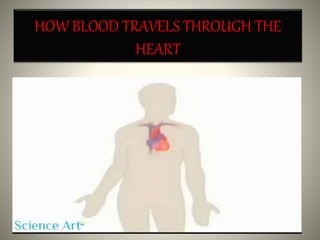 HOW BLOOD TRAVELS THROUGH THE
HEART
 