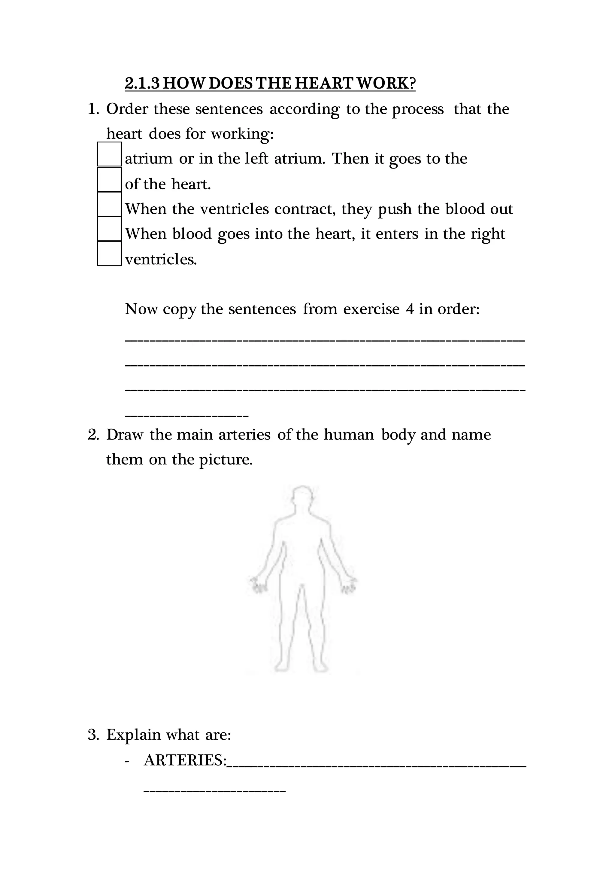 2.1.3 HOW DOES THE HEART WORK?
1. Order these sentences according to the process that the
heart does for working:
atrium or in the left atrium. Then it goes to the
of the heart.
When the ventricles contract, they push the blood out
When blood goes into the heart, it enters in the right
ventricles.
Now copy the sentences from exercise 4 in order:
_________________________________________________________________
_________________________________________________________________
_________________________________________________________________
____________________
2. Draw the main arteries of the human body and name
them on the picture.
3. Explain what are:
- ARTERIES:_________________________________________________
_______________________
 