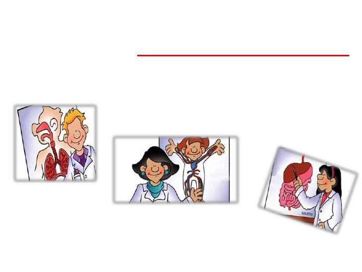 The circulatory system worksheet