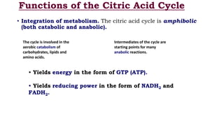 Functions of the Citric Acid Cycle
• Integration of metabolism. The citric acid cycle is amphibolic
(both catabolic and anabolic).
The cycle is involved in the
aerobic catabolism of
carbohydrates, lipids and
amino acids.
Intermediates of the cycle are
starting points for many
anabolic reactions.
• Yields energy in the form of GTP (ATP).
• Yields reducing power in the form of NADH2 and
FADH2.
 
