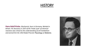 HISTORY
Hans Adolf Krebs. Biochemist; born in Germany. Worked in
Britain. His discovery in 1937 of the ‘Krebs cycle’ of chemical
reactions was critical to the understanding of cell metabolism
and earned him the 1953 Nobel Prize for Physiology or Medicine.
 