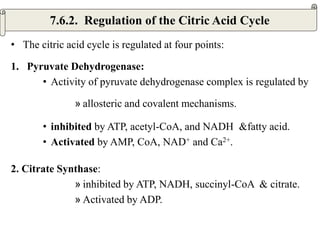 • The citric acid cycle is regulated at four points:
1. Pyruvate Dehydrogenase:
• Activity of pyruvate dehydrogenase complex is regulated by
» allosteric and covalent mechanisms.
• inhibited by ATP, acetyl-CoA, and NADH &fatty acid.
• Activated by AMP, CoA, NAD+ and Ca2+.
2. Citrate Synthase:
» inhibited by ATP, NADH, succinyl-CoA & citrate.
» Activated by ADP.
7.6.2. Regulation of the Citric Acid Cycle
 