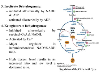 3. Isocitrate Dehydrogenase:
– inhibited allosterically by NADH
& ATP
– activated allosterically by ADP
4. Ketoglutarate Dehydrogenase
– Inhibited allosterically by
succinyl-CoA & NADH.
– Activated by Ca2+
– Major regulator is
intramitochondrial NAD+/NADH
ratio.
– High oxygen level results in an
increased ratio and low level a
decreased ratio.
Regulation of the Citric Acid Cycle
 