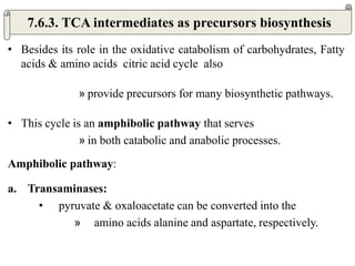 • Besides its role in the oxidative catabolism of carbohydrates, Fatty
acids & amino acids citric acid cycle also
» provide precursors for many biosynthetic pathways.
• This cycle is an amphibolic pathway that serves
» in both catabolic and anabolic processes.
Amphibolic pathway:
a. Transaminases:
• pyruvate & oxaloacetate can be converted into the
» amino acids alanine and aspartate, respectively.
7.6.3. TCA intermediates as precursors biosynthesis
 