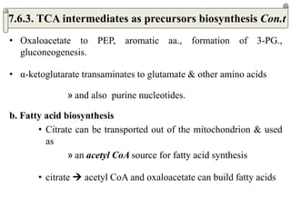 • Oxaloacetate to PEP, aromatic aa., formation of 3-PG.,
gluconeogenesis.
• α-ketoglutarate transaminates to glutamate & other amino acids
» and also purine nucleotides.
b. Fatty acid biosynthesis
• Citrate can be transported out of the mitochondrion & used
as
» an acetyl CoA source for fatty acid synthesis
• citrate  acetyl CoA and oxaloacetate can build fatty acids
7.6.3. TCA intermediates as precursors biosynthesis Con.t
 