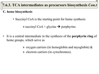 C. heme biosynthesis
• Succinyl CoA is the starting point for heme synthesis
» succinyl CoA + glycine  porphyrins
• It is a central intermediate in the synthesis of the porphyrin ring of
heme groups, which serve as
» oxygen carriers (in hemoglobin and myoglobin) &
» electron carriers (in cytochromes).
7.6.3. TCA intermediates as precursors biosynthesis Con.t
 