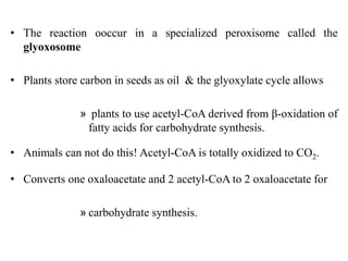 • The reaction ooccur in a specialized peroxisome called the
glyoxosome
• Plants store carbon in seeds as oil & the glyoxylate cycle allows
» plants to use acetyl-CoA derived from β-oxidation of
fatty acids for carbohydrate synthesis.
• Animals can not do this! Acetyl-CoA is totally oxidized to CO2.
• Converts one oxaloacetate and 2 acetyl-CoA to 2 oxaloacetate for
» carbohydrate synthesis.
 
