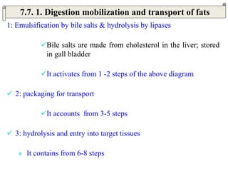 1: Emulsification by bile salts & hydrolysis by lipases
Bile salts are made from cholesterol in the liver; stored
in gall bladder
It activates from 1 -2 steps of the above diagram
 2: packaging for transport
It accounts from 3-5 steps
 3: hydrolysis and entry into target tissues
» It contains from 6-8 steps
7.7. 1. Digestion mobilization and transport of fats
 