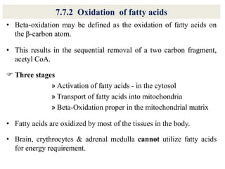 7.7.2 Oxidation of fatty acids
• Beta-oxidation may be defined as the oxidation of fatty acids on
the β-carbon atom.
• This results in the sequential removal of a two carbon fragment,
acetyl CoA.
 Three stages
» Activation of fatty acids - in the cytosol
» Transport of fatty acids into mitochondria
» Beta-Oxidation proper in the mitochondrial matrix
• Fatty acids are oxidized by most of the tissues in the body.
• Brain, erythrocytes & adrenal medulla cannot utilize fatty acids
for energy requirement.
 