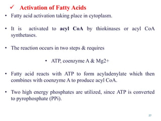 27
 Activation of Fatty Acids
• Fatty acid activation taking place in cytoplasm.
• It is activated to acyl CoA by thiokinases or acyl CoA
synthetases.
• The reaction occurs in two steps & requires
• ATP, coenzyme A & Mg2+
• Fatty acid reacts with ATP to form acyladenylate which then
combines with coenzyme A to produce acyl CoA.
• Two high energy phosphates are utilized, since ATP is converted
to pyrophosphate (PPi).
 