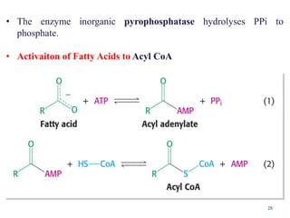 28
• The enzyme inorganic pyrophosphatase hydrolyses PPi to
phosphate.
• Activaiton of Fatty Acids to Acyl CoA
 