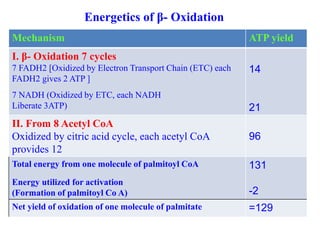 Energetics of β- Oxidation
Mechanism ATP yield
I. β- Oxidation 7 cycles
7 FADH2 [Oxidized by Electron Transport Chain (ETC) each
FADH2 gives 2 ATP ]
7 NADH (Oxidized by ETC, each NADH
Liberate 3ATP)
14
21
II. From 8 Acetyl CoA
Oxidized by citric acid cycle, each acetyl CoA
provides 12
96
Total energy from one molecule of palmitoyl CoA
Energy utilized for activation
(Formation of palmitoyl Co A)
131
-2
Net yield of oxidation of one molecule of palmitate =129
 