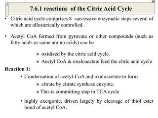 • Citric acid cycle comprises 8 successive enzymatic steps several of
which are allosterically controlled.
• Acetyl CoA formed from pyruvate or other compounds (such as
fatty acids or some amino acids) can be
» oxidized by the citric acid cycle.
» Acetyl CoA & oxaloacetate feed the citric acid cycle
Reaction 1:
• Condensation of acetyl-CoA and oxaloacetate to form
» citrate by citrate synthase enzyme.
» This is committing step in TCA cycle
• highly exergonic, driven largely by cleavage of thiol ester
bond of acetyl CoA.
7.6.1 reactions of the Citric Acid Cycle
 