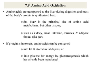 7.8. Amino Acid Oxidation
• Amino acids are transported to the liver during digestion and most
of the body's protein is synthesized here.
» So, liver is the principal site of amino acid
metabolism, but other tissues,
» such as kidney, small intestine, muscles, & adipose
tissue, take part.
• If protein is in excess, amino acids can be converted
» into fat & stored in fat depots, or
» into glucose for energy by gluconeogenesis which
has already been mentioned.
 