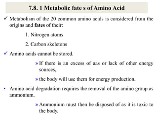 7.8. 1 Metabolic fate s of Amino Acid
 Metabolism of the 20 common amino acids is considered from the
origins and fates of their:
1. Nitrogen atoms
2. Carbon skeletons
 Amino acids cannot be stored.
» If there is an excess of aas or lack of other energy
sources,
» the body will use them for energy production.
• Amino acid degradation requires the removal of the amino group as
ammonium.
» Ammonium must then be disposed of as it is toxic to
the body.
 