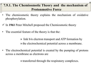 • The chemiosmotic theory explains the mechanism of oxidative
phosphorylation.
 In 1961 Peter Mitchell proposed the Chemiosmotic theory
• The essential feature of the theory is that the:
» link b/n electron transport and ATP formation by
» the electrochemical potential across a membrane.
• The electrochemical potential is created by the pumping of protons
across a membrane as electrons are
» transferred through the respiratory complexes.
7.9.1. The Chemiosmotic Theory and the mechanism of
Protonmotive Force
 