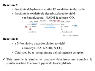 Reaction 3:
• Isocitrate dehydrogenase -the 1st oxidation in the cycle
• Isocitrate is oxidatively decarboxylated to yield
» α-ketoglutarate, NADH & release CO2
Reaction 4:
• a 2nd oxidative decarboxylation to yield
» succinyl CoA, NADH, & CO2
• Catalyzed by α -ketoglutarate dehydrogenase complex.
 This enzyme is similar to pyruvate dehydrogenase complex &
similar reaction to convert pyruvate to acetyl-CoA .
 