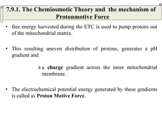 • free energy harvested during the ETC is used to pump protons out
of the mitochondrial matrix.
• This resulting uneven distribution of protons, generates a pH
gradient and
» a charge gradient across the inner mitochondrial
membrane.
• The electrochemical potential energy generated by these gradients
is called as Proton Motive Force.
7.9.1. The Chemiosmotic Theory and the mechanism of
Protonmotive Force
 