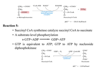 Reaction 5:
• Succinyl CoA synthetase catalyze succinyl CoA to succinate
• A substrate-level phosphorylation
» GTP+ADP GDP+ATP
• GTP is equivalent to ATP; GTP to ATP by nucleoside
diphosphokinase
 
