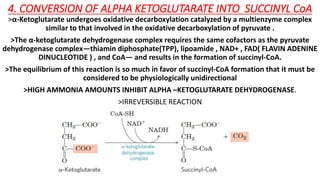 The citric acid cycle | PDF