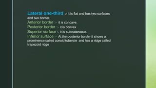 Conoid Ridge The Clavicle.pdf