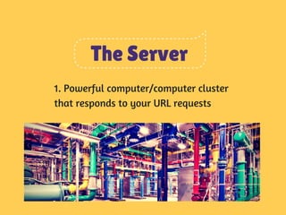 The Server 
1. Powerful computer/computer cluster 
that responds to your URL requests 
 