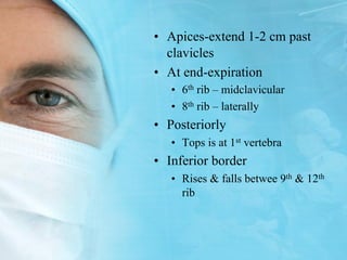The clinical Anatomy of the Thorax. eng.pdf