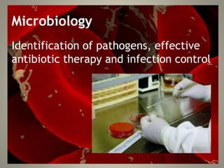 Microbiology
Identification of pathogens, effective
antibiotic therapy and infection control
 