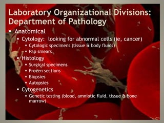 Laboratory Organizational Divisions:
Department of Pathology
 Anatomical
 Cytology: looking for abnormal cells (ie, cancer)
 Cytologic specimens (tissue & body fluids)
 Pap smears
 Histology
 Surgical specimens
 Frozen sections
 Biopsies
 Autopsies
 Cytogenetics
 Genetic testing (blood, amniotic fluid, tissue & bone
marrow)
 