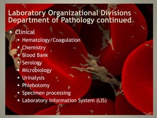Laboratory Organizational Divisions
Department of Pathology continued
 Clinical
 Hematology/Coagulation
 Chemistry
 Blood Bank
 Serology
 Microbiology
 Urinalysis
 Phlebotomy
 Specimen processing
 Laboratory Information System (LIS)
 