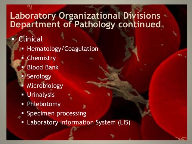 The clinical laboratory