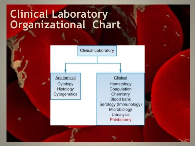 Medical Laboratory Organizational Chart
