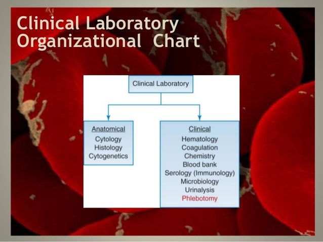 The clinical laboratory
