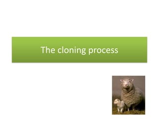 The cloning process
 