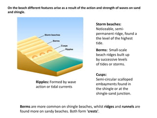 On the beach different features arise as a result of the action and strength of waves on sand and shingle.Storm beaches:  Noticeable, semi-permanent ridge, found a the level of the highest tide.Berms:  Small-scale beach ridges built up by successive levels of tides or storms.Cusps:Semi-circular scalloped embayments found in the shingle or at the shingle-sand junction.Ripples: Formed by wave action or tidal currentsBerms are more common on shingle beaches, whilst ridges and runnels are found more on sandy beaches. Both form 'crests'.
