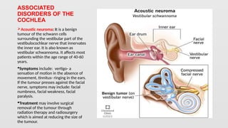 THE COCHLEA a part of the olfactory senses | PPTX