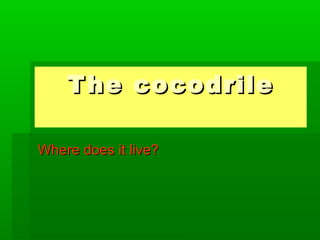 The cocodrileThe cocodrile
Where does it live?Where does it live?
 