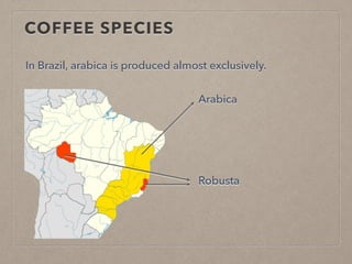 COFFEE SPECIES
In Brazil, arabica is produced almost exclusively.
Arabica
RobustaRobusta
 