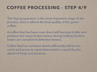 The drying operation is the most important stage of the
process, since it affects the final quality of the green
coffee.
A coffee that has been over dried will become brittle and
produce too many broken beans during hulling (broken
beans are considered defective beans).
Coffee that has not been dried sufficiently will be too
moist and prone to rapid deterioration caused by the
attack of fungi and bacteria.
COFFEE PROCESSING - STEP 4/9
 