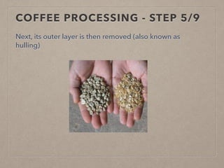 COFFEE PROCESSING - STEP 5/9
Next, its outer layer is then removed (also known as
hulling)
 
