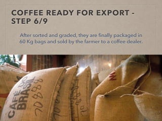 COFFEE READY FOR EXPORT -
STEP 6/9
After sorted and graded, they are finally packaged in
60 Kg bags and sold by the farmer to a coffee dealer.
 
