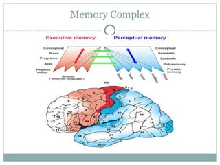 The cognitive load theory | PPT image.