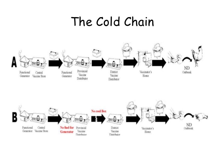 The cold chain