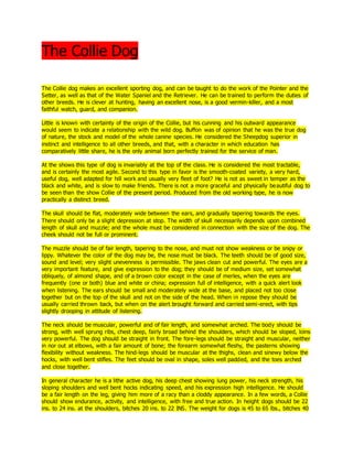 The Collie Dog
The Collie dog makes an excellent sporting dog, and can be taught to do the work of the Pointer and the
Setter, as well as that of the Water Spaniel and the Retriever. He can be trained to perform the duties of
other breeds. He is clever at hunting, having an excellent nose, is a good vermin-killer, and a most
faithful watch, guard, and companion.
Little is known with certainty of the origin of the Collie, but his cunning and his outward appearance
would seem to indicate a relationship with the wild dog. Buffon was of opinion that he was the true dog
of nature, the stock and model of the whole canine species. He considered the Sheepdog superior in
instinct and intelligence to all other breeds, and that, with a character in which education has
comparatively little share, he is the only animal born perfectly trained for the service of man.
At the shows this type of dog is invariably at the top of the class. He is considered the most tractable,
and is certainly the most agile. Second to this type in favor is the smooth-coated variety, a very hard,
useful dog, well adapted for hill work and usually very fleet of foot? He is not as sweet in temper as the
black and white, and is slow to make friends. There is not a more graceful and physically beautiful dog to
be seen than the show Collie of the present period. Produced from the old working type, he is now
practically a distinct breed.
The skull should be flat, moderately wide between the ears, and gradually tapering towards the eyes.
There should only be a slight depression at stop. The width of skull necessarily depends upon combined
length of skull and muzzle; and the whole must be considered in connection with the size of the dog. The
cheek should not be full or prominent.
The muzzle should be of fair length, tapering to the nose, and must not show weakness or be snipy or
lippy. Whatever the color of the dog may be, the nose must be black. The teeth should be of good size,
sound and level; very slight unevenness is permissible. The jaws clean cut and powerful. The eyes are a
very important feature, and give expression to the dog; they should be of medium size, set somewhat
obliquely, of almond shape, and of a brown color except in the case of merles, when the eyes are
frequently (one or both) blue and white or china; expression full of intelligence, with a quick alert look
when listening. The ears should be small and moderately wide at the base, and placed not too close
together but on the top of the skull and not on the side of the head. When in repose they should be
usually carried thrown back, but when on the alert brought forward and carried semi-erect, with tips
slightly drooping in attitude of listening.
The neck should be muscular, powerful and of fair length, and somewhat arched. The body should be
strong, with well sprung ribs, chest deep, fairly broad behind the shoulders, which should be sloped, loins
very powerful. The dog should be straight in front. The fore-legs should be straight and muscular, neither
in nor out at elbows, with a fair amount of bone; the forearm somewhat fleshy, the pasterns showing
flexibility without weakness. The hind-legs should be muscular at the thighs, clean and sinewy below the
hocks, with well bent stifles. The feet should be oval in shape, soles well padded, and the toes arched
and close together.
In general character he is a lithe active dog, his deep chest showing lung power, his neck strength, his
sloping shoulders and well bent hocks indicating speed, and his expression high intelligence. He should
be a fair length on the leg, giving him more of a racy than a cloddy appearance. In a few words, a Collie
should show endurance, activity, and intelligence, with free and true action. In height dogs should be 22
ins. to 24 ins. at the shoulders, bitches 20 ins. to 22 INS. The weight for dogs is 45 to 65 lbs., bitches 40
 