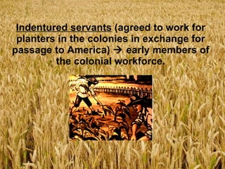 Indentured servants  (agreed to work for planters in the colonies in exchange for passage to America)    early members of the colonial workforce. 