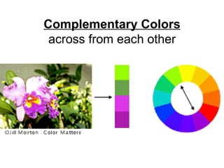 Complementary Colors across from each other 