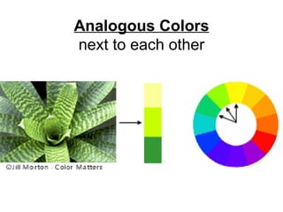 Analogous Colors next to each other 