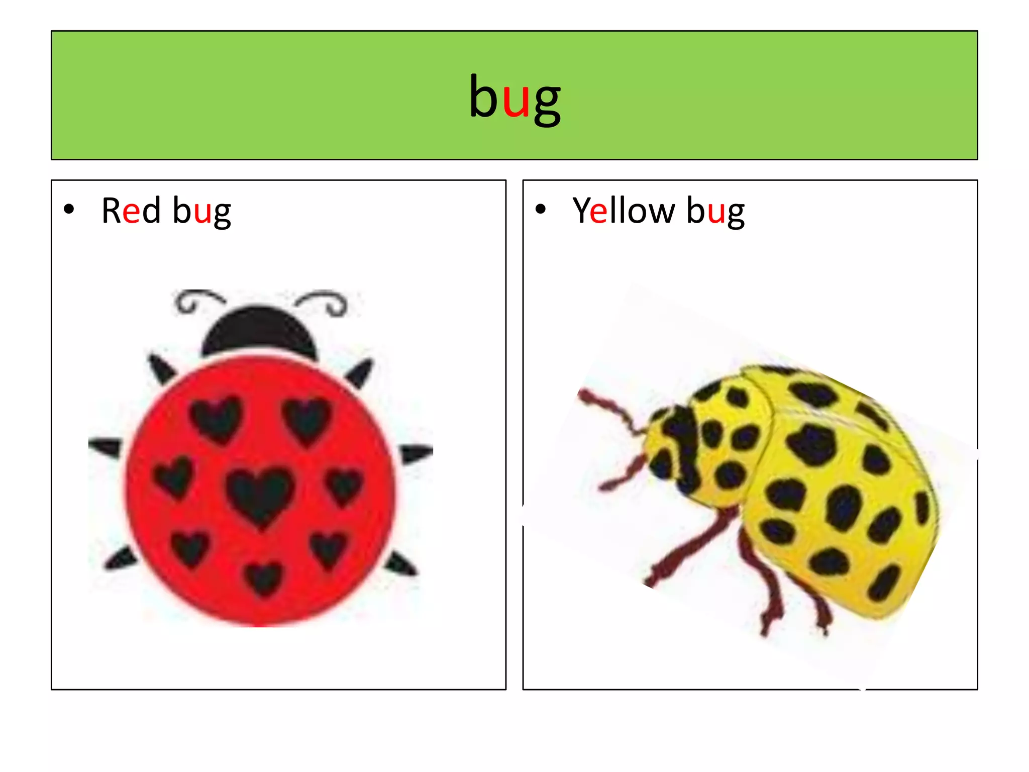 bugRed bugYellow bug