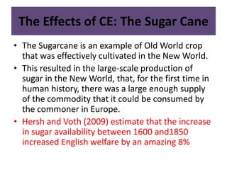 The Effects of CE: The Sugar Cane 
• The Sugarcane is an example of Old World crop 
that was effectively cultivated in the New World. 
• This resulted in the large-scale production of 
sugar in the New World, that, for the first time in 
human history, there was a large enough supply 
of the commodity that it could be consumed by 
the commoner in Europe. 
• Hersh and Voth (2009) estimate that the increase 
in sugar availability between 1600 and1850 
increased English welfare by an amazing 8% 
 