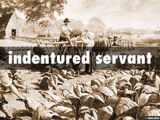 The Columbian Exchange